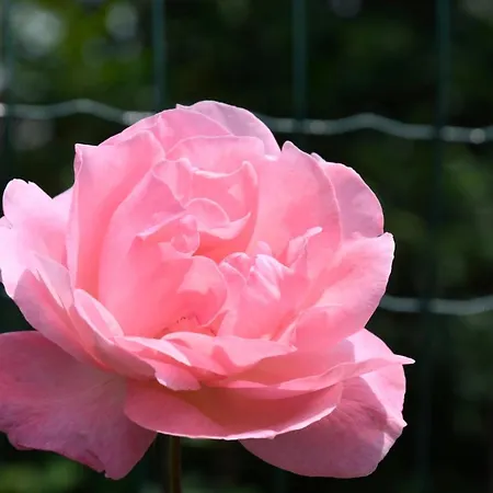 Casa Omnia Castellamonte