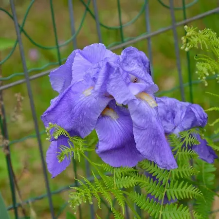 Bed & Breakfast Casa Omnia Castellamonte