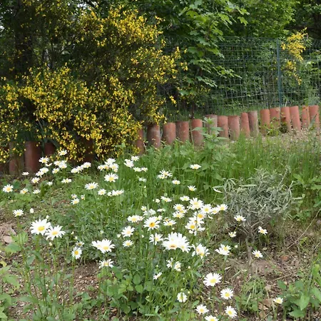 Casa Omnia Bed & Breakfast