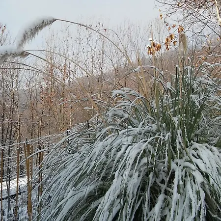 Casa Omnia Bed & Breakfast